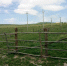 IMG 4325-31-05-18-04-04 - Администрация г. Малгобек