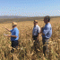 WhatsApp Image_2019-09-06_at_14.39.05_5 - Администрация Малгобекского района