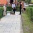WhatsApp Image_2019-09-23_at_09.35.29 - Администрация Малгобекского района