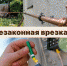 meriya malgobeka 116804979 298811711334625 8781302653448342387 n - Администрация г. Малгобек
