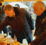 malgobekckiy raion_159045996_2138914162910214_2226871009182667495_n - Администрация Малгобекского района