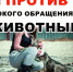 4fub3wPDiKI - Администрация Малгобекского района