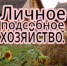 d181c55e - Администрация Малгобекского района