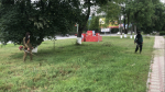 В Малгобеке продолжаются работы по облагораживанию общественных территорий. - Администрация г. Малгобек