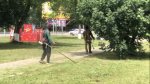 В Малгобеке продолжаются работы по облагораживанию общественных территорий. - Администрация г. Малгобек