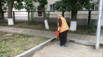 В Малгобеке продолжаются работы по облагораживанию общественных территорий. - Администрация г. Малгобек