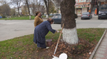 Субботник..