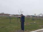 image-17-03-26-03-10