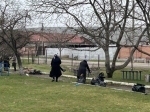 image-17-03-26-12-35-7