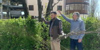 Городской субботник в Малгобеке. - Администрация г. Малгобек