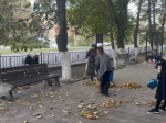 От тротуаров до скамеек: глава проверил состояние благоустройства города.