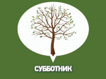 17 октября состоится общегородской субботник.